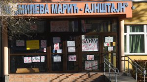 Pravo nasleđe Mileve Marić