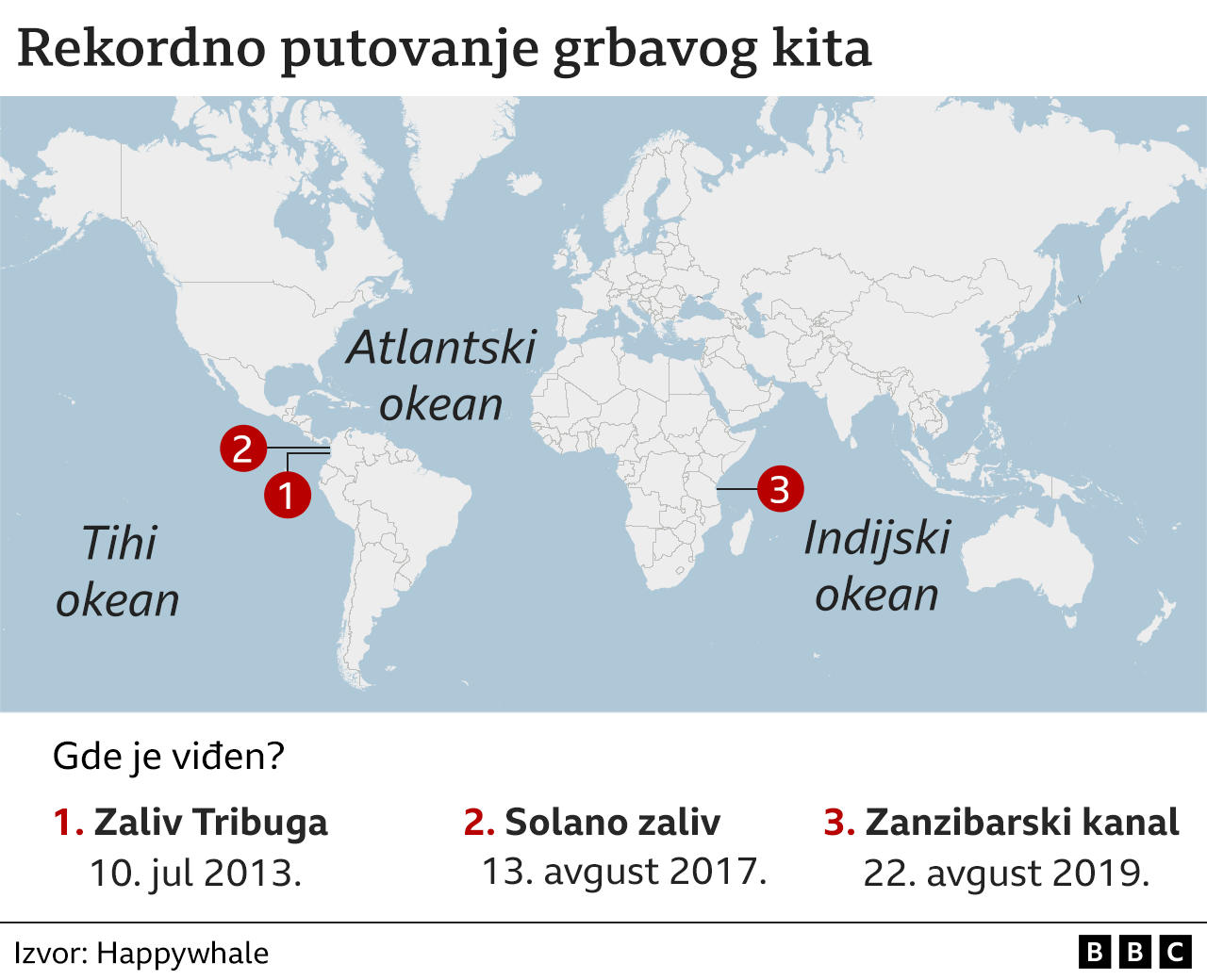 Odiseja grbavog kita: Zašto je preplivao više od 13.000 kilometara za pet godina 4 grbavi kit