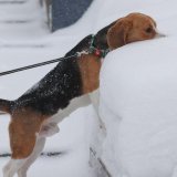 Kada je „najkraći dan u godini", ko ga slavi i zašto 4