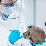 Ljudi možda ne bi opstali bez neandertalaca 15