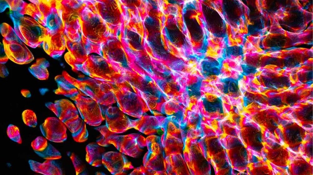 Slikanje poezije i pisanje slike: Razgovor i projekcija radova „Aberacij(e)” Vlade Milojkovića u SKC Kragujevac 1