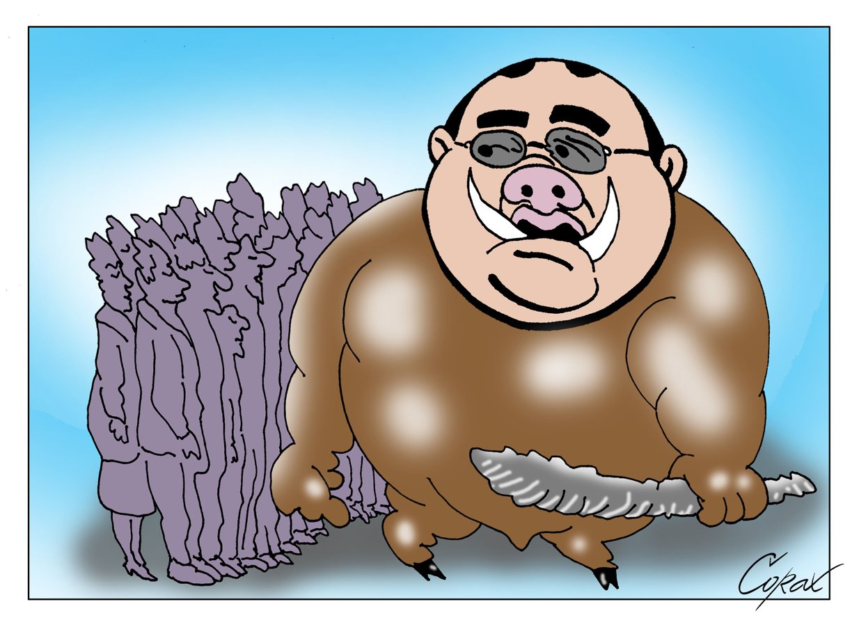 Corax 14