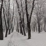 Ne pišite saopštenja, dajte ljudima struju: SSP Topola 10