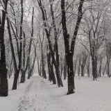 Ne pišite saopštenja, dajte ljudima struju: SSP Topola 14