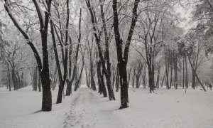 MUP: Majka i sin spašeni nakon što su se izgubili na Fruškoj gori 1