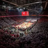 Navijači Crvene zvezde, Arena
