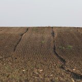 Zabrinjavajući rast saliniteta zemljišta, problem posebno izražen u ovih deset zemalja 7