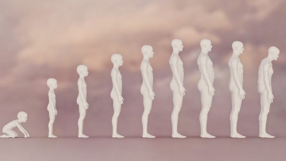 Zašto više ljudi nego ikada pre doživi stotu 4 Ilustracija starenja