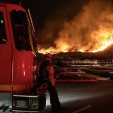 Konji, nevine žrtve požara u Americi 5
