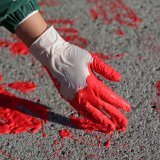 Ko sve protestuje u Srbiji i zbog čega 7