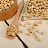 Da li je soja stvarno dobra za naše zdravlje? 5