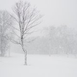 Evo kada tačno počinje zima: Danas je najkraći dan u godini 6