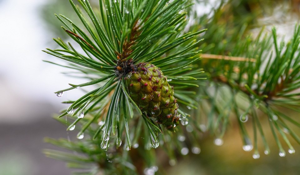 RHMZ upozorava na obilne padavine danas i sutra, na planinama već pao sneg 1