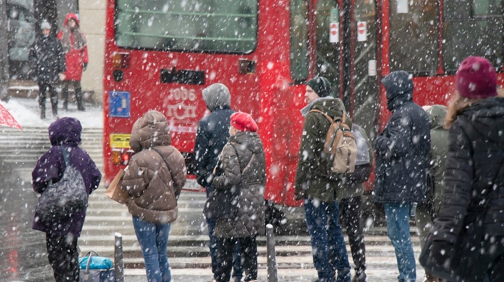Palo stablo, problemi na linijama 65 i 74: Kakve sve probleme pravi sneg? (FOTO, VIDEO) 1