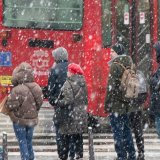 Palo stablo, problemi na linijama 65 i 74: Kakve sve probleme pravi sneg? (FOTO, VIDEO) 9