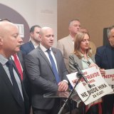 Napad na poslanika u Skupštini Vojvodine: Nemanja Šarčević udaren šakom u bradu 5