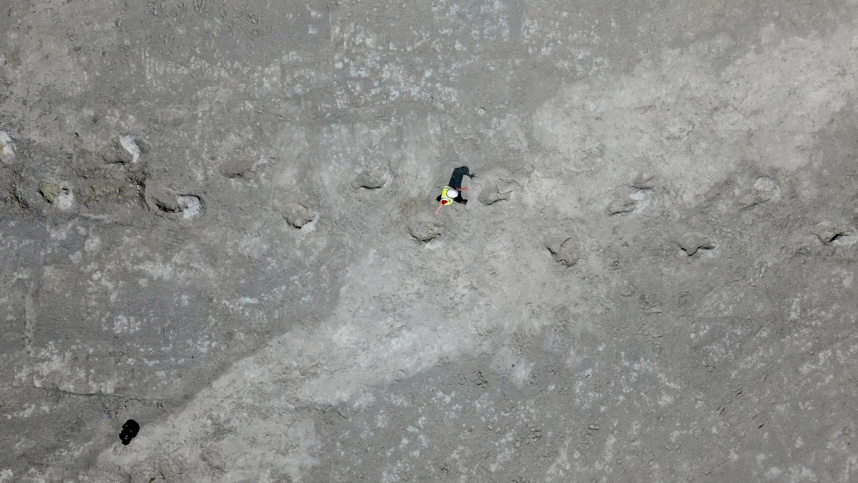 Pronađeni otisci dinosaurusa u Velikoj Britaniji - najveća lokacija do sada 7 Snimak iz drona na nalazište gde se vidi arheolog kako prolazi tragovima dinosaurusa