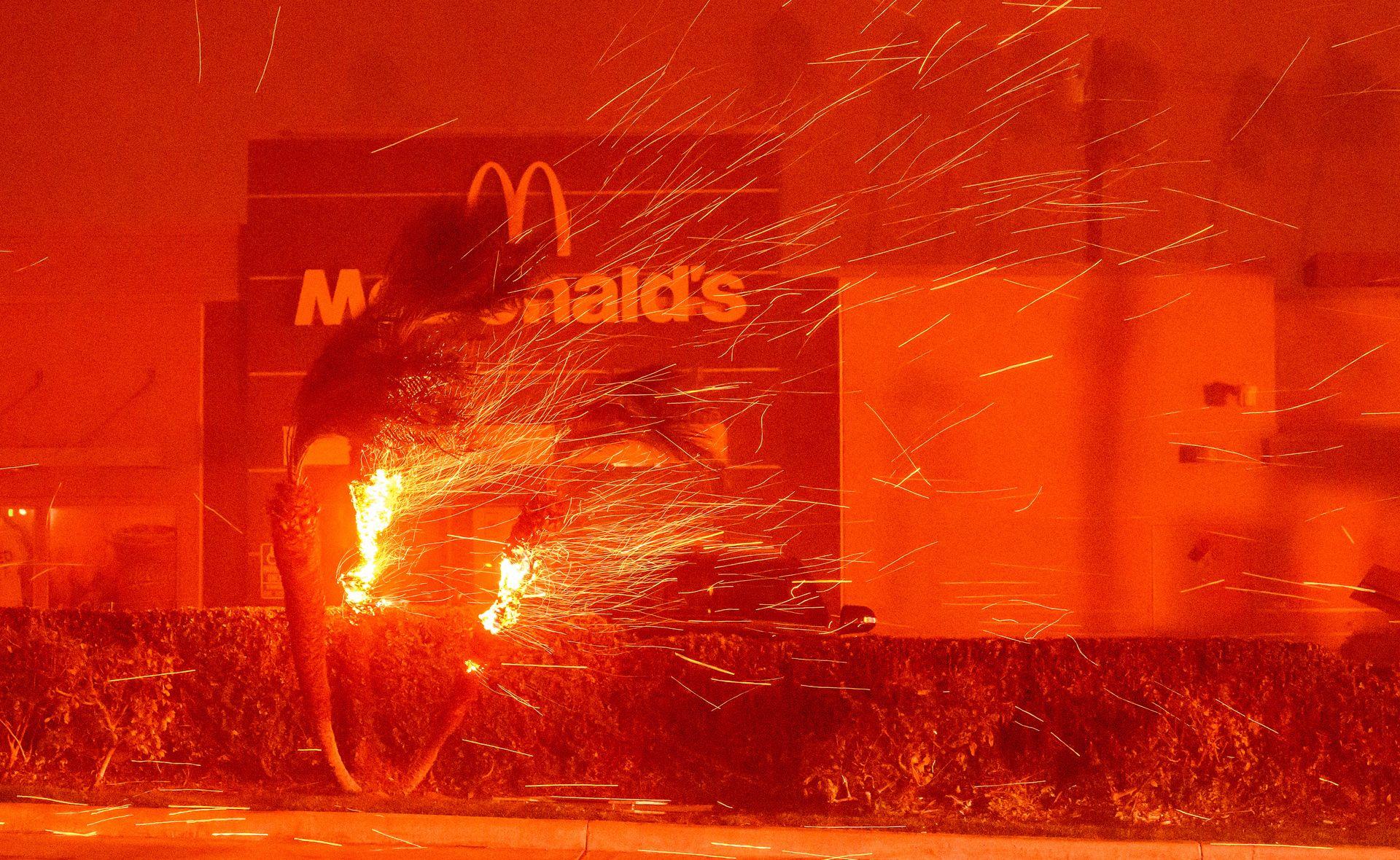 Požar u Los Anđelesu kroz fotografije 13 Restoran MekDonalds iza zapaljene palme