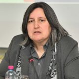 Čedanka Andrić osuđuje skup protiv migrantskih radnika: "Desno, ekstremno desno pa u provaliju" 4