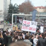 Evropski Zeleni podržali proteste u Srbiji 4