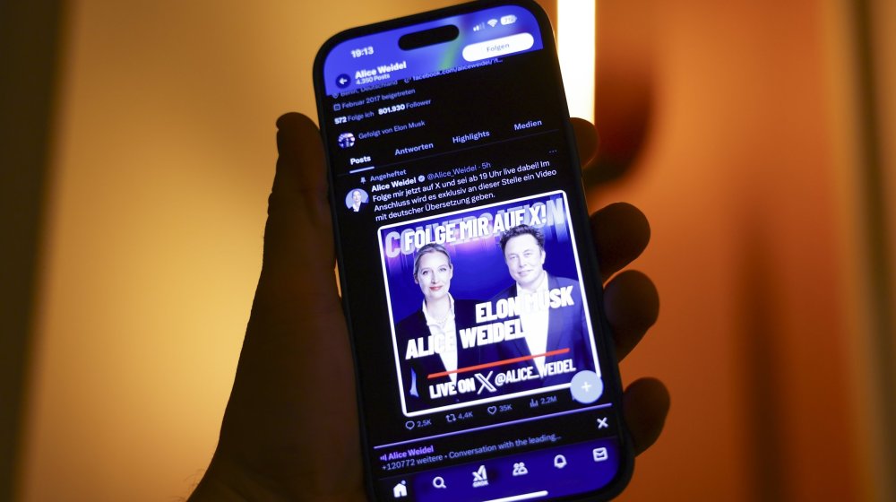 Ilon Mask hvali Alis Vajdel, kandidatkinju desničarske AfD 1