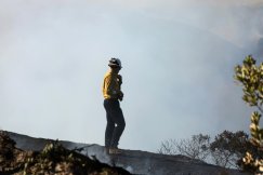 Najavljen još jači vetar koji bi mogao da proširi požare: Stradale najmanje 24 osobe u oblasti Los Anđelesa, ima nestalih (FOTO, VIDEO) 9