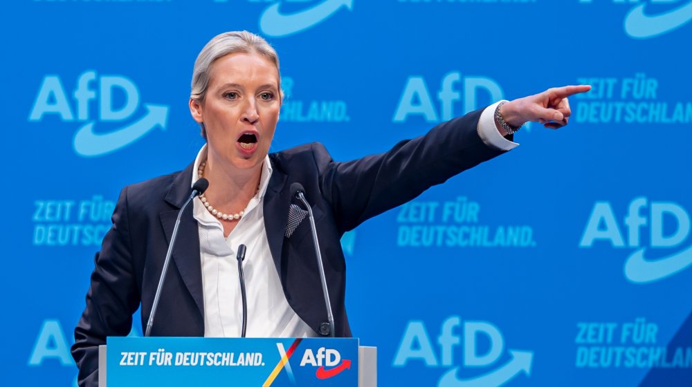 Nemačka: Koju stranku najviše vole darežljivi donatori? 1