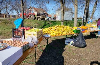 Studenti iz Beograda peške stigli u Novi Sad, odali poštu nastradalima: Noć će provesti na fakultetima, skup protekao bez incidenata (FOTO, VIDEO) 25