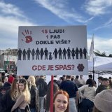 Iz Kliničkog centra Vojvodine kažu da je vozač koji je pregazio psa Donu suspendovan i udaljen sa posla 1