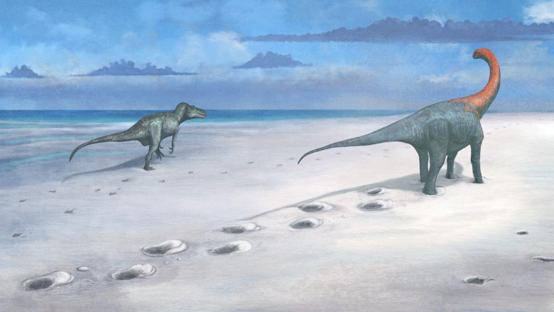 Pronađeni otisci dinosaurusa u Velikoj Britaniji - najveća lokacija do sada 4 Ilustracija dva dinosaurusa kako hodaju tropskom lagunom