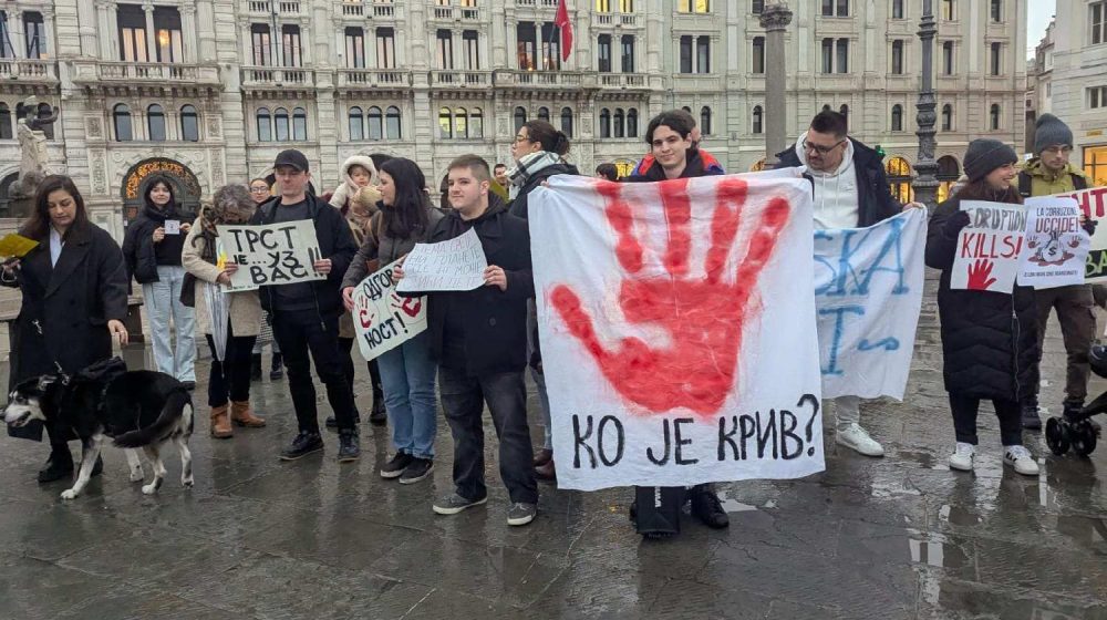 Gde će se sve srpska dijaspora održati skupove povodom godišnjice tragedije u Novom Sadu: Okupljanja u više od 50 gradova 1