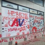 Bejzbol palicama na studente u Novom Sadu, teško povređena jedna devojka 9