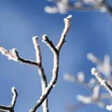 Kakvo će vreme biti danas? 12