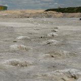 Pronađeni otisci dinosaurusa u Velikoj Britaniji - najveća lokacija do sada 4