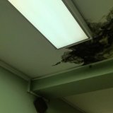 Bolnica prokišnjava, sobe pune buđi: Gde su završili milioni za renoviranje bolnice u Pančevu? 2