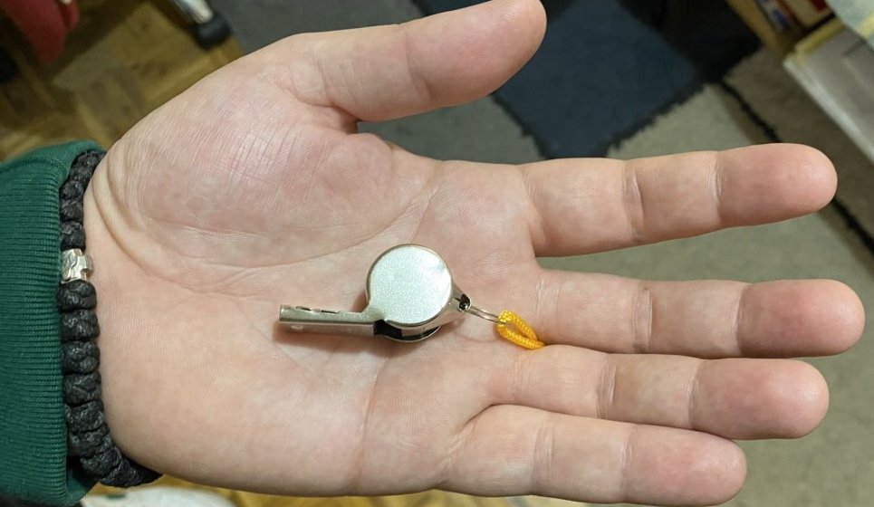 Pištaljka: Posle osam godina sud presudio da opština Rača vrati uzbunjivača na posao 1