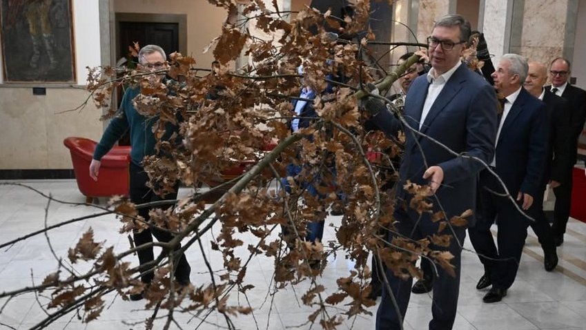Vučić uneo badnjak u Predsedništvo: Badnji dan je dan pomirenja 1