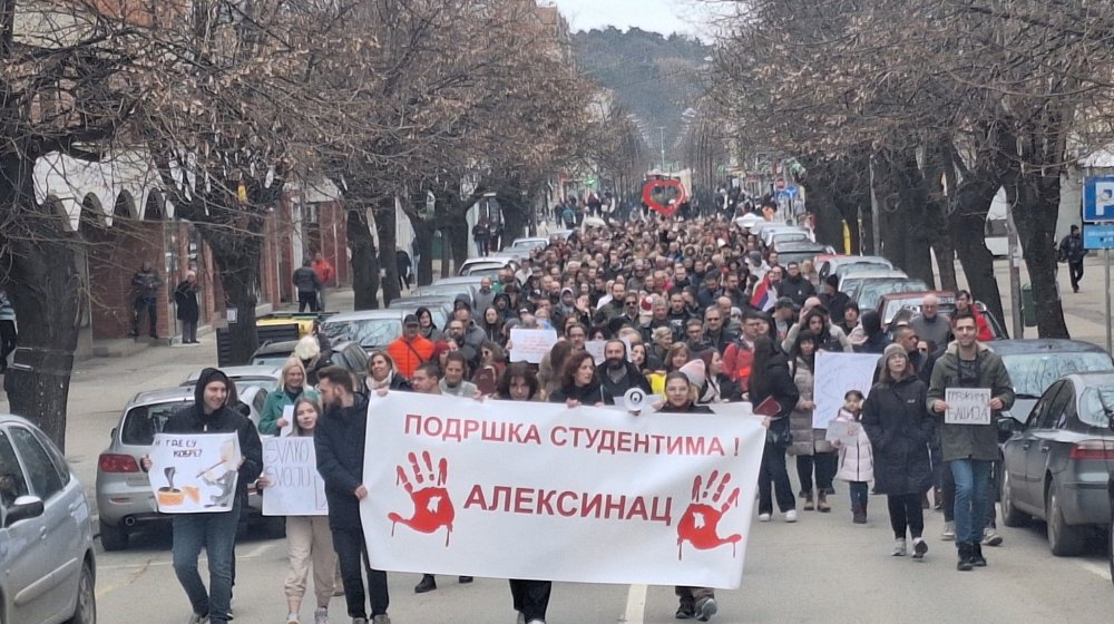 Saša Gidra Marković, autor, Aleksinac ,protest