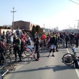 Studenti nastavili peške iz Inđije, na biciklima iz Beograda ka Novom Sadu 6