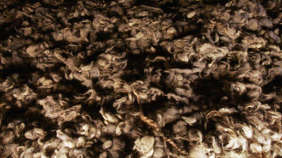 Jevreji koji su bili prisiljen da šalju druge Jevreje u gasne komore Aušvica 3 Kosa ubijenih žrtava u Aušvicu