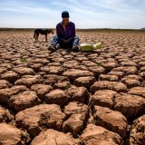 Zašto je važno zadržavanje globalnog zagrevanja na 1,5 stepeni Celzijusovih 6