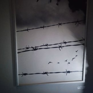 foto, izlozba studenata fu 5, foto zm "Nije otkazana, jer nije bila ni zakazana": Fakultet umetnosti u Nišu povodom "sporne" studentske izložbe zbog njene "političke konotacije" 3