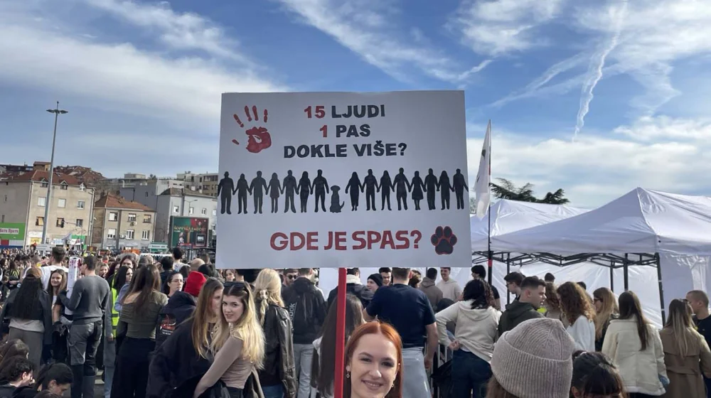 Niš: Skup za psa velikog srca, Donu, koju je sanitet UKC Vojvodine zgazio na studentskom protestu 1