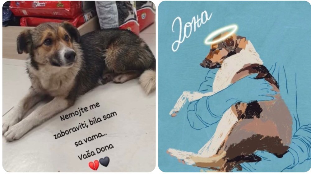 „Nemojte me zaboraviti, bila sam sa vama“: Vaša Dona 1