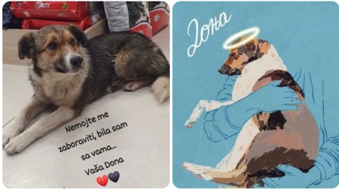 Zajednica Srba u Irskoj: Puna podrška svima koji se bore za pravednu i bolju Srbiju (FOTO, VIDEO) 9