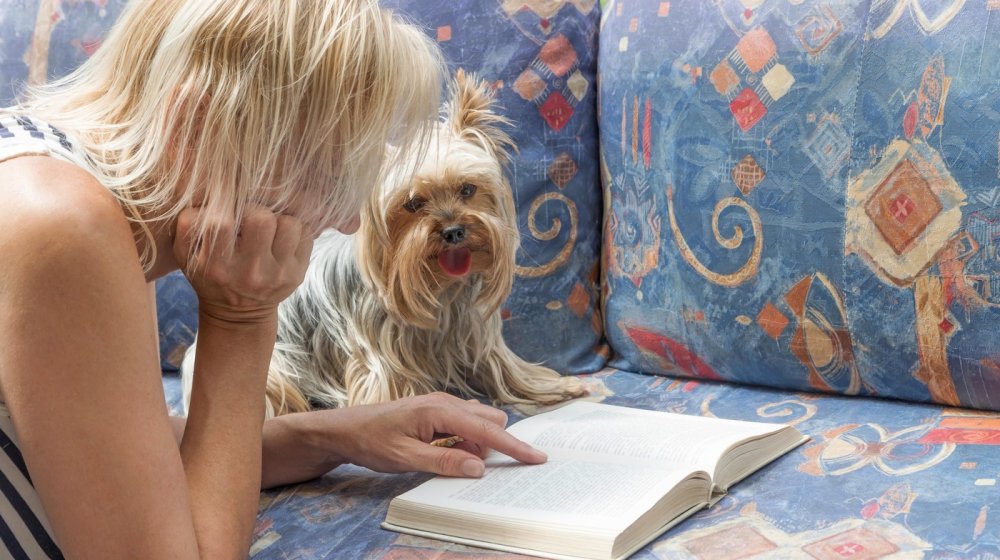 Ove rase pasa su idealne za male stanove 1