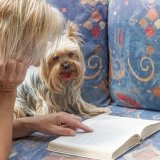 Ove rase pasa su idealne za male stanove 1