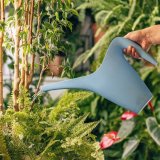 Sobne biljke nikada ne bi trebalo da držite na ovim mestima u kući 1