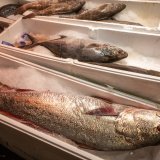 Jedna od najzdravijih vrsta ribe na svetu: Jeftinija od lososa, a puna hranljivih stvari 3