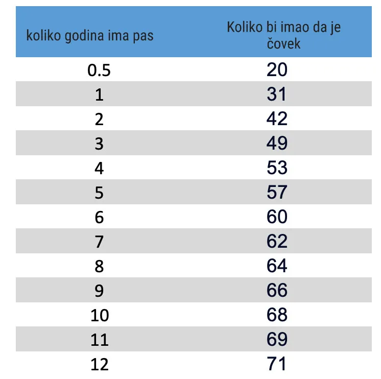 Koliko je zapravo star vaš pas? Ako množite sa 7, opasno grešite 2 Koliko je zapravo star vaš pas? Ako množite sa 7, opasno grešite 1